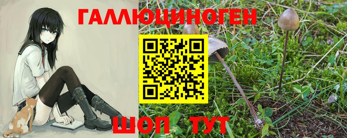 Химки  Галлюциногенные грибы прущие грибы  Вход с VPN 